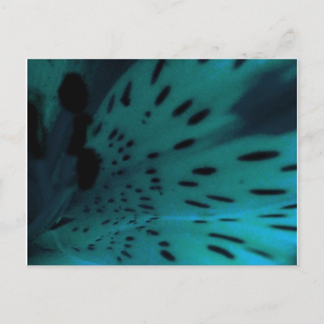 Blue Tiger Postcard (Front)