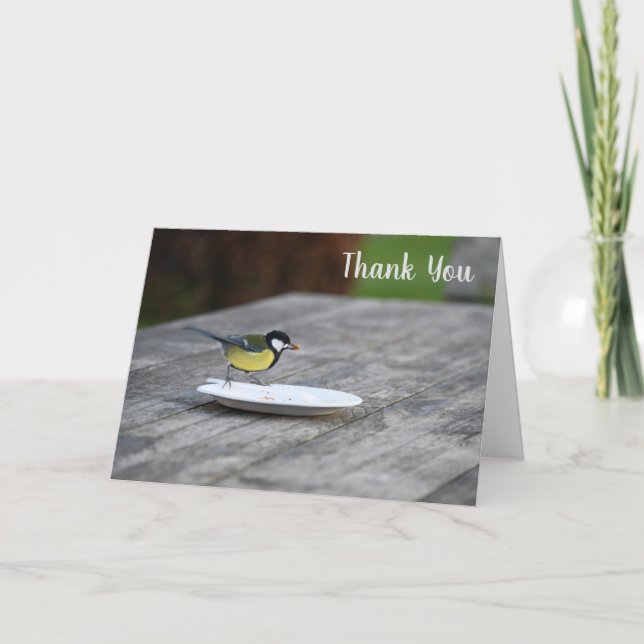 Blue Tit Bird Feeding Thank You Card (Front)