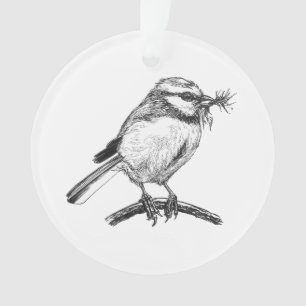 Blue tit bird ink drawing ornament