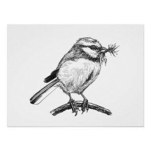 Blue tit bird ink drawing poster