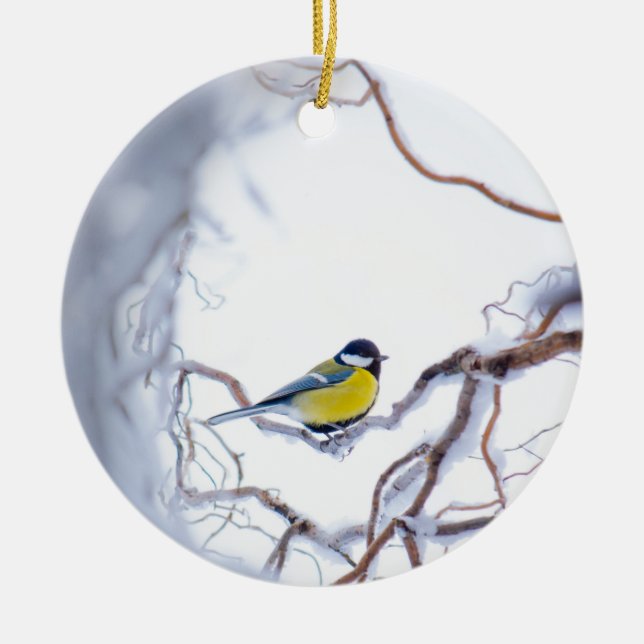 Blue Tit Bird Perched Branches Snow Frost Nature Ceramic Tree Decoration (Front)