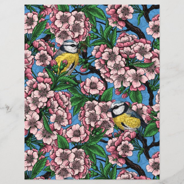Blue tit birds in the blooming cherry tree on blue (Front)