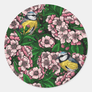 Blue tit birds in the blooming cherry tree on gree classic round sticker