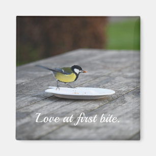 Blue Tit Feeding on Cake Plate Love at First Bite Magnet