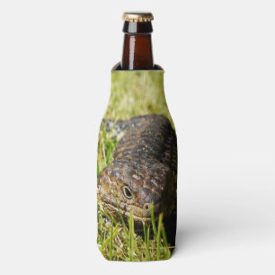 Blue Tongue Lizard Creeping In The Grass, Bottle Cooler