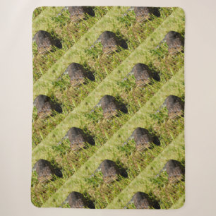 Blue Tongue Lizard Creeping In The Grass, Sherpa Blanket