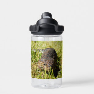 Blue Tongue Lizard Creeping In The Grass, Water Bottle