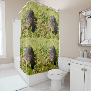 Blue Tongue Stumpy Lizard, Shower Curtain