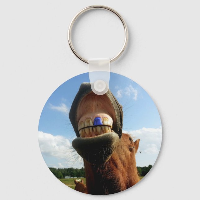 Blue Tooth Enabled Horse Key Ring (Front)