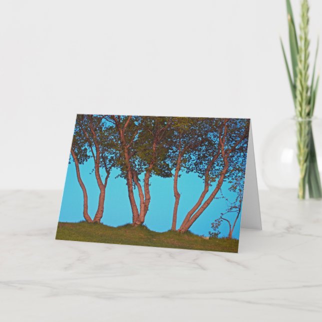 Blue Trees Card (Front)