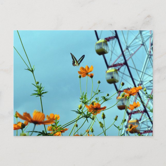 Blue Triangle Butterfly & Cosmos Flowers: Japan Postcard (Front)