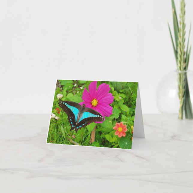 Blue triangle butterfly on cosmos flower holiday card (Front)