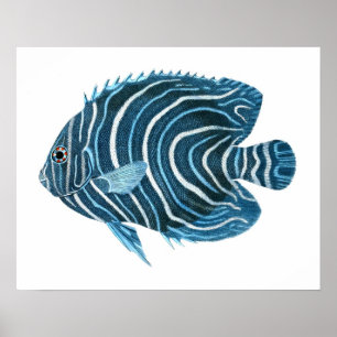 Blue Tropical Fish Print no.1