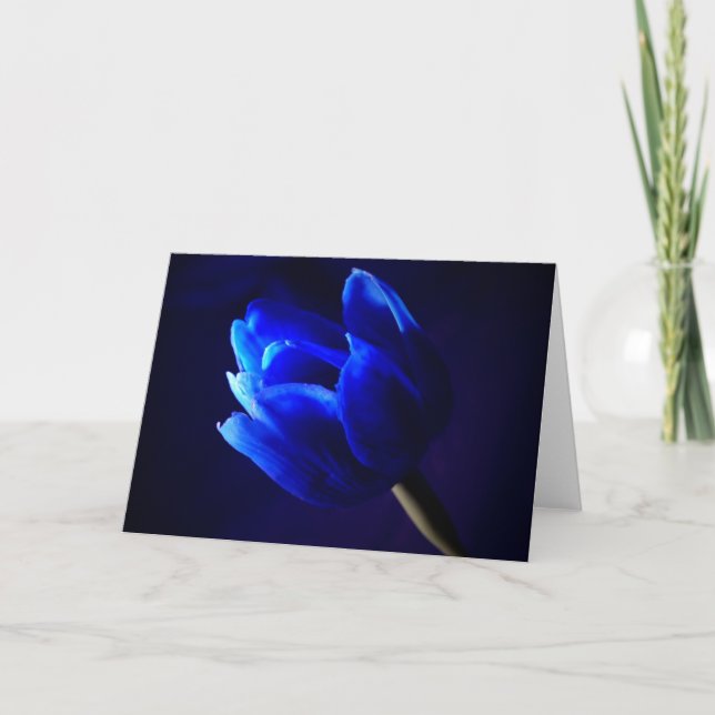Blue tulip card (Front)