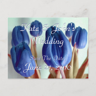 Blue Tulips Announcement Postcard