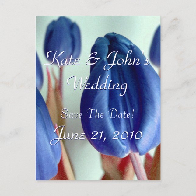Blue Tulips Announcement Postcard (Front)