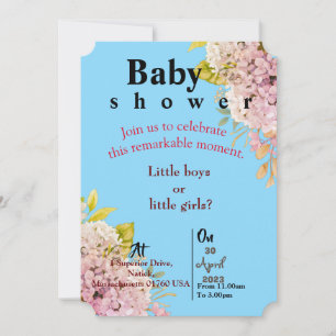 Blue Twin Baby invitation