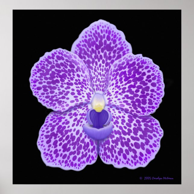 Blue Vanda Orchid Bloom Print (Front)