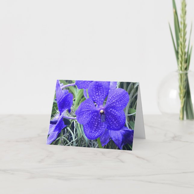 Blue Vanda Orchids All Purpose Greeting Card (Front)