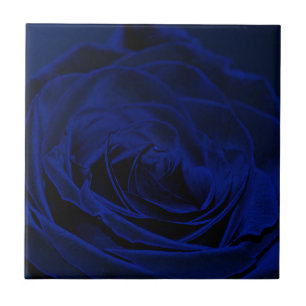 Blue Velvet rose.jpg Tile