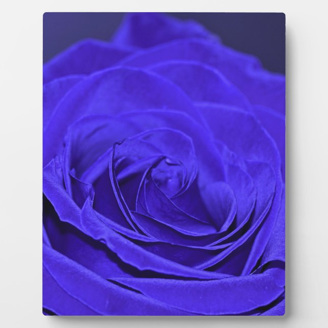 Blue Velvet Rose Plaque (Front)