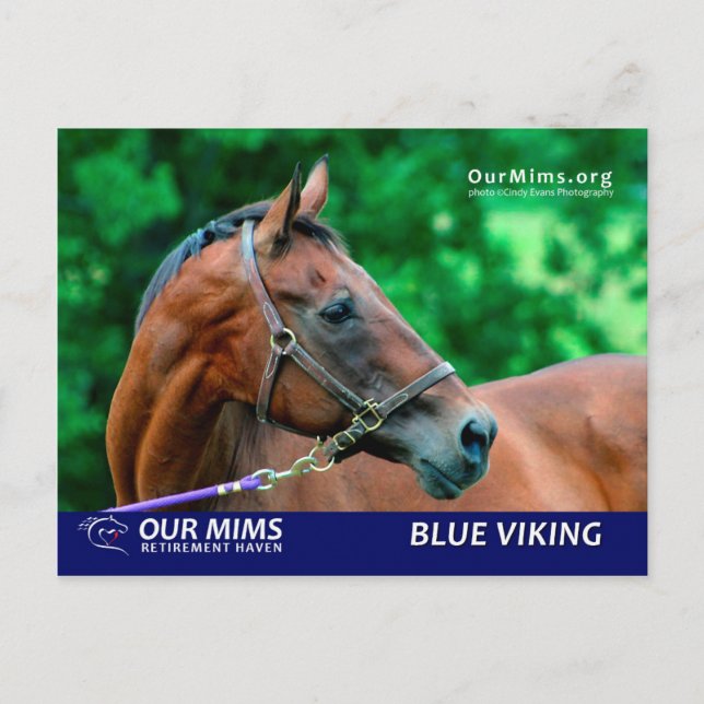 Blue Viking postcard (Front)