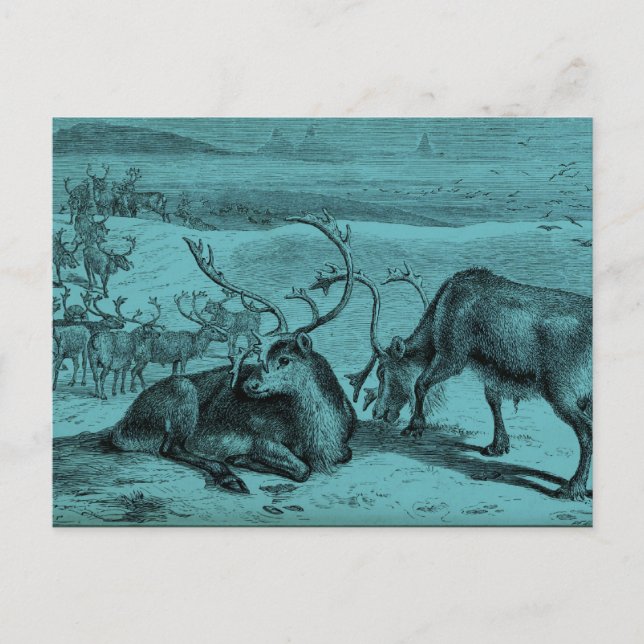 Blue Vintage Reindeer Illustration Postcard (Front)