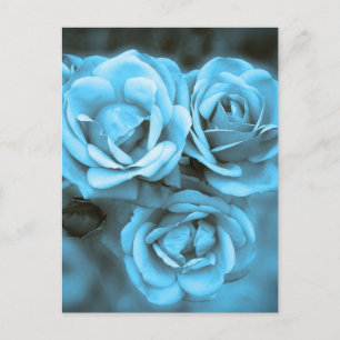 Blue Vintage Roses Postcard
