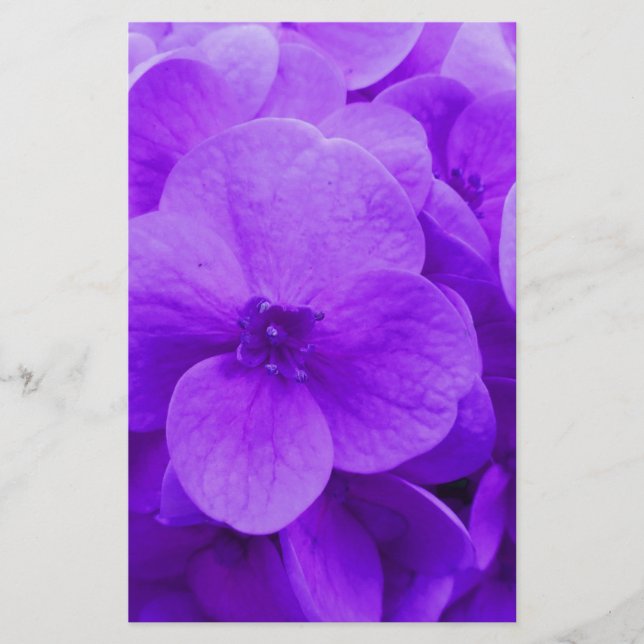 Blue Violet Hydrangea Stationery (Front)