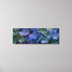 Blue violet  Hydrangeas Canvas Print