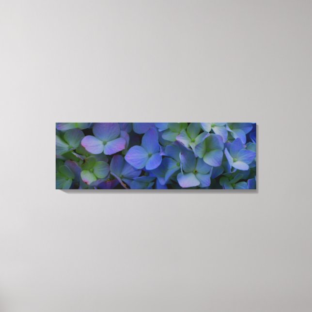 Blue violet  Hydrangeas Canvas Print (Front)