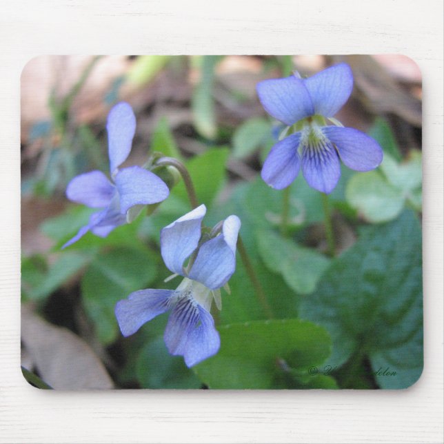 Blue Violets Mousepad (Front)