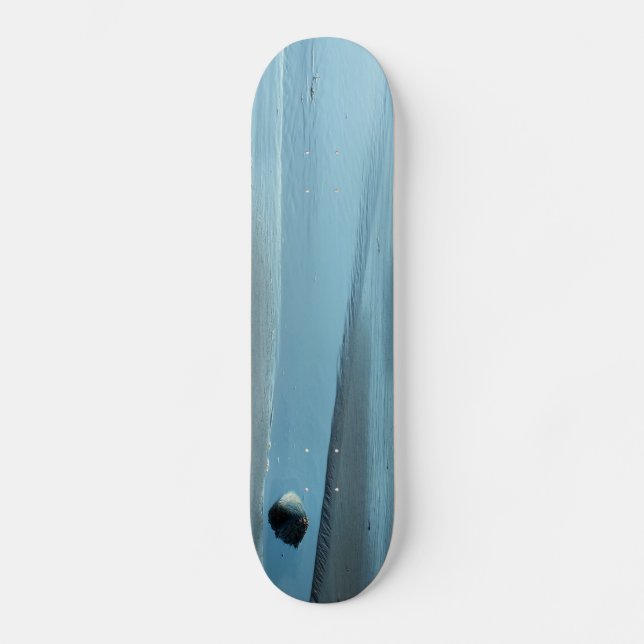 BLUE WATER SKATEBOARD (Front)