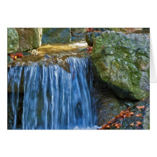 Blue Water Spring