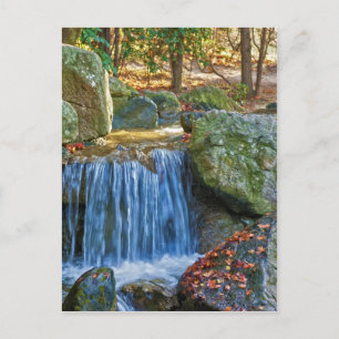 Blue Water Spring Postcard