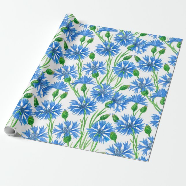 Blue watercolor cornflowers, wild flowers on white wrapping paper (Unrolled)