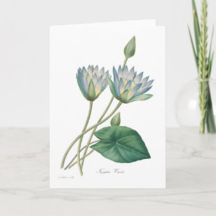 Blue Waterlily Card