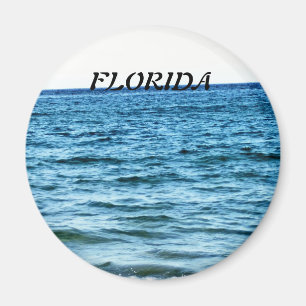 BLUE WATERS MAGNET