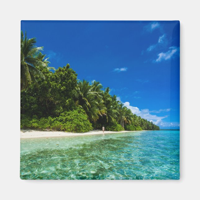 Blue Waters Of A Tropical Beach Magnet (Front)