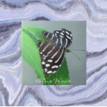 Blue Wave Butterfly on Leaf Photo Tile<br><div class="desc">For butterfly fans! Ceramic tile featuring the photo image of a Blue Wave Butterfly resting on a leaf,  and also known as a Royal Blue Butterfly. Select your tile size. Makes a great kitchen trivet!</div>