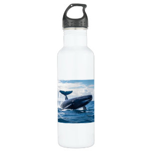 blue whale 710 ml water bottle
