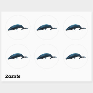 BLUE WHALE CLASSIC ROUND STICKER