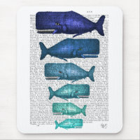 Blue Whale Family