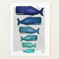 Blue Whale Family