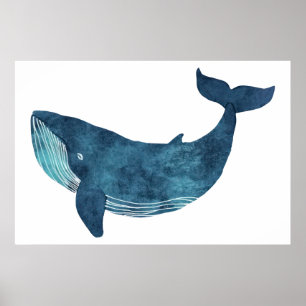 Blue Whale Illustration Poster