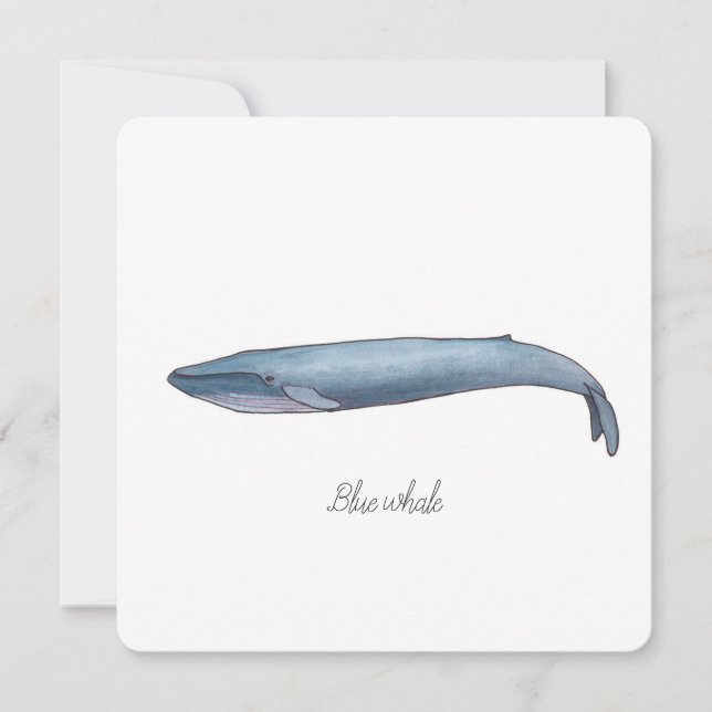 Blue whale invitation (Front)