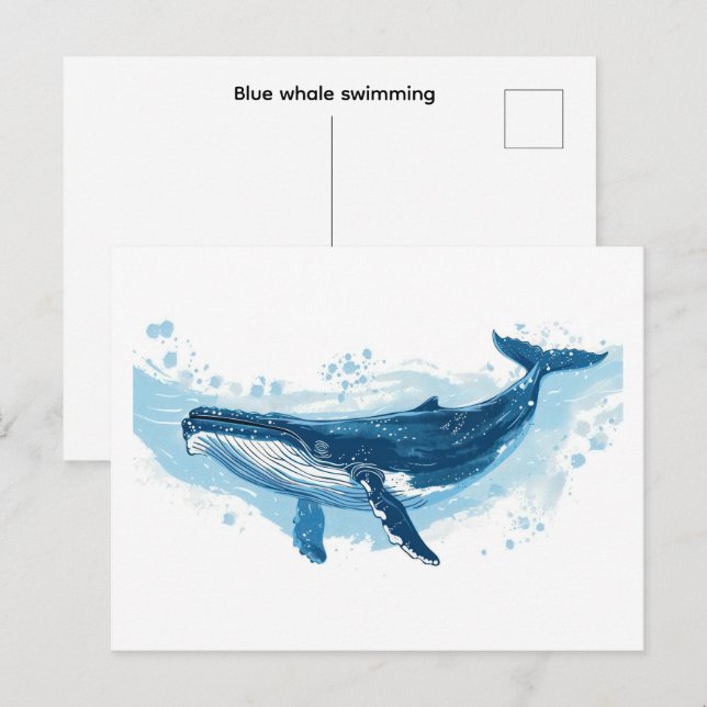 Blue whale mammal swimming  Small Postcard (Front/Back)