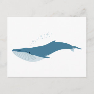 Blue Whale Postcard