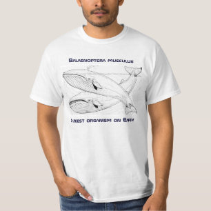 Blue Whale Tee