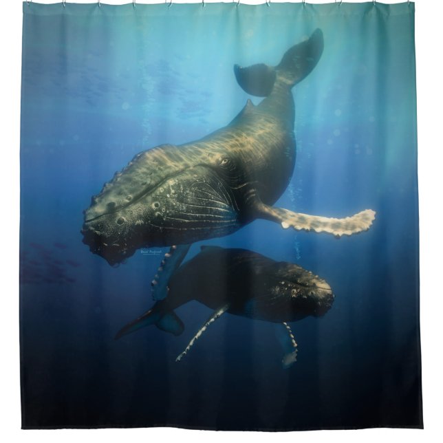 Blue Whales Shower Curtain (Front)